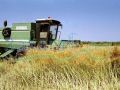 Land For Sale in Constanta/ Romania