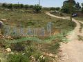 Land for sale in Mtein
