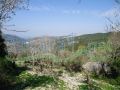 Offer Land For Sale In Bejjeh