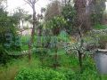 House For Sale In Ghazir