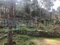 Land for sale in Bzebdine/ Baabda