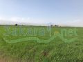 Land for sale on Hizzine/ Bekaa