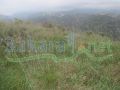 land for sale in Ejd Ebrin