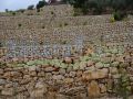 Batroun Farm