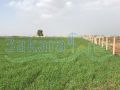 Land for sale on Hizzine/ Bekaa