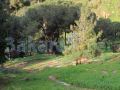 Land for sale in Mkalles/ Al Mansourieh