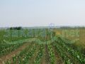 Romania, Olt country land for sale