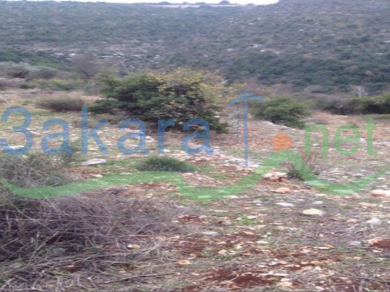 Lands For Sale in Awra, El Batroun, North, Lebanon 10141000000