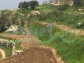 Land for sale in Mrouhin/ Sour