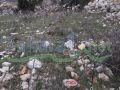 Land for sale in Ehmej with License