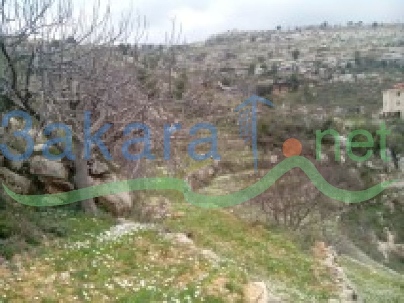 Lands For Sale in Jezzine, Jezzine, South, Lebanon 10672000000