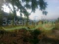 Land for sale in Beit Shabeb