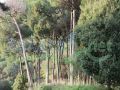 Mkalles/ Mansourieh Land for sale