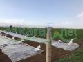 Land for sale on Hizzine/ Bekaa