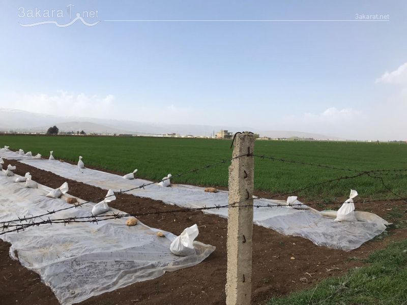 Lands For Sale in Majdaloun, Baalbek, Bekaa, Lebanon 15735000000