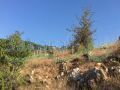 Land for sale in Mazraet Kfarzebian