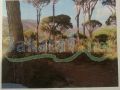 Land for sale in Deir Al Harf/ Baabda