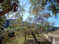 Land for sale in Barteh/ Saida