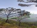 Land for sale in Bteddin Loksh/ Jezzine