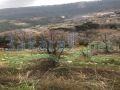 Land for sale in Dhour Shweir